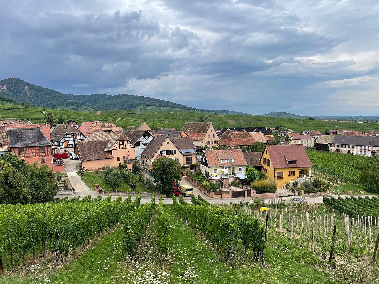 Vignes, Alsace