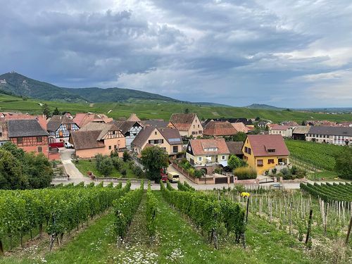 Vignes, Alsace