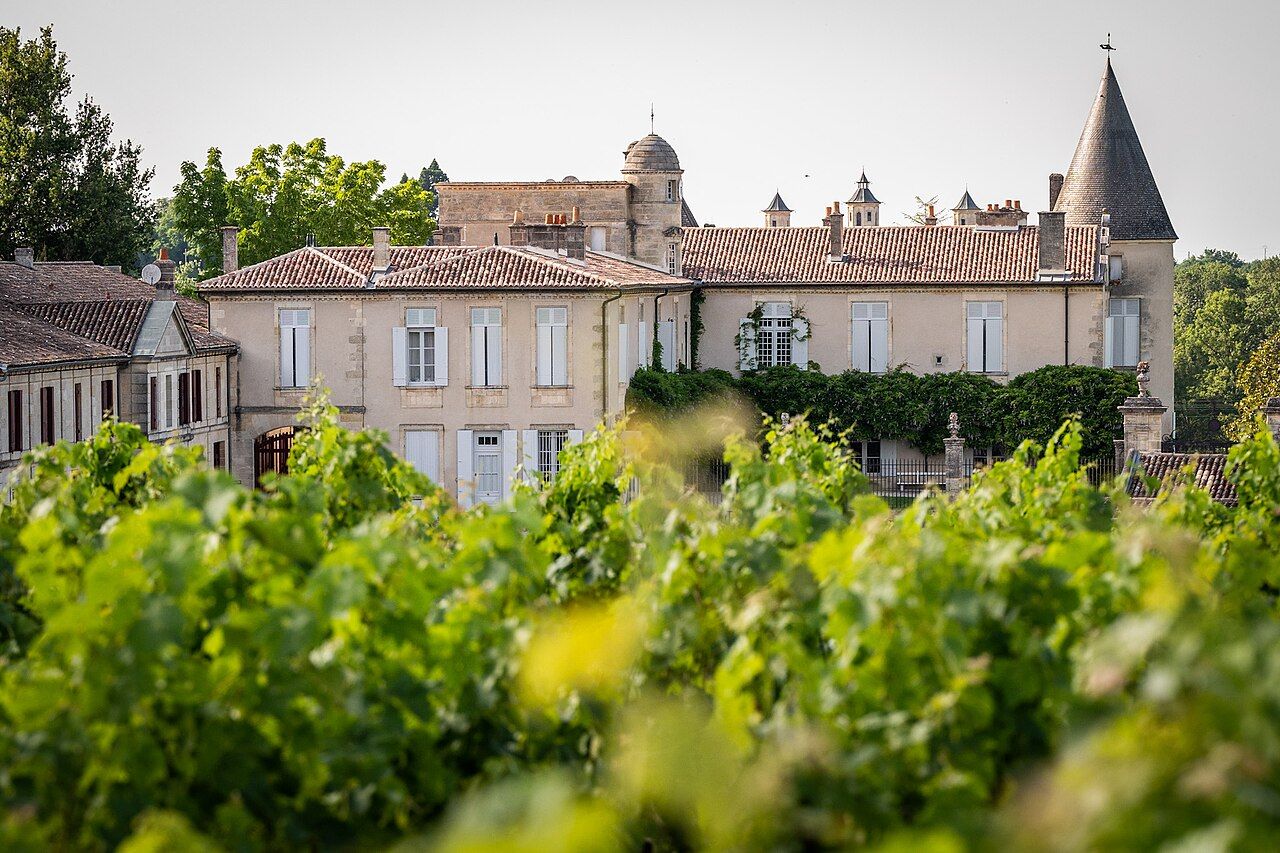 Vignes, Bordeaux