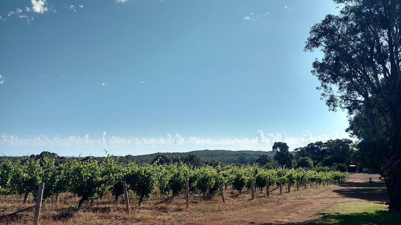 Vignes, Margaret River