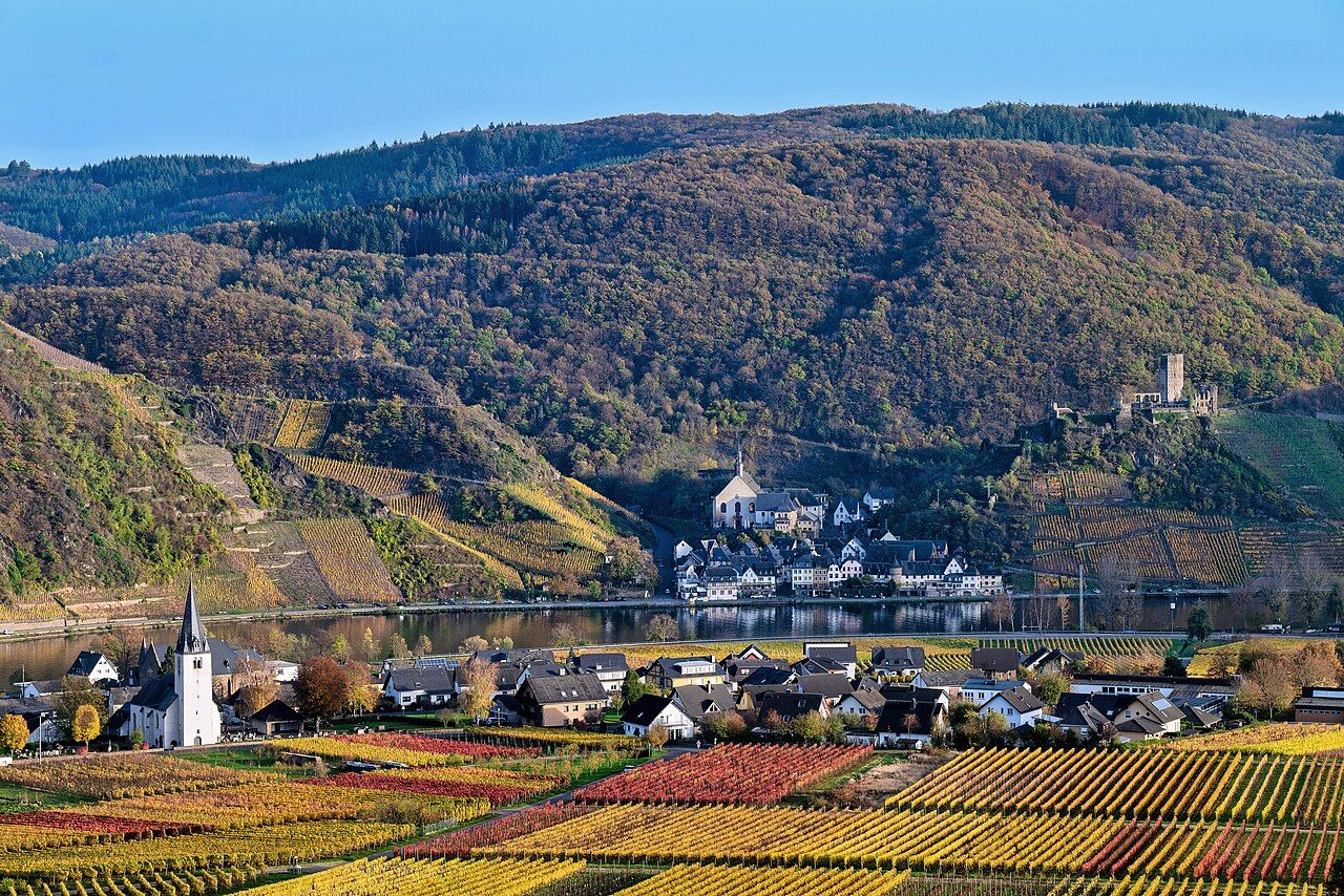 Vignes, Moselle allemande (Mosel)