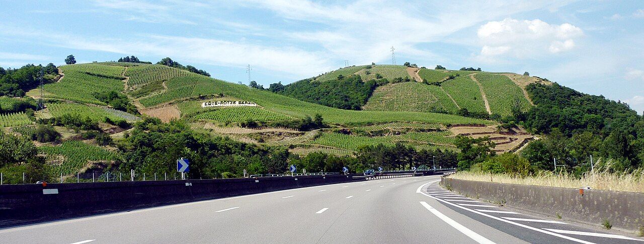 Vignes, Rhône septentrional
