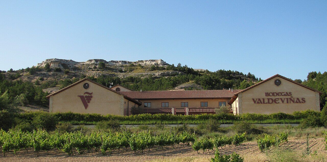 Vignes, Ribera del Duero
