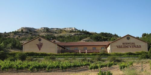 Vignes, Ribera del Duero
