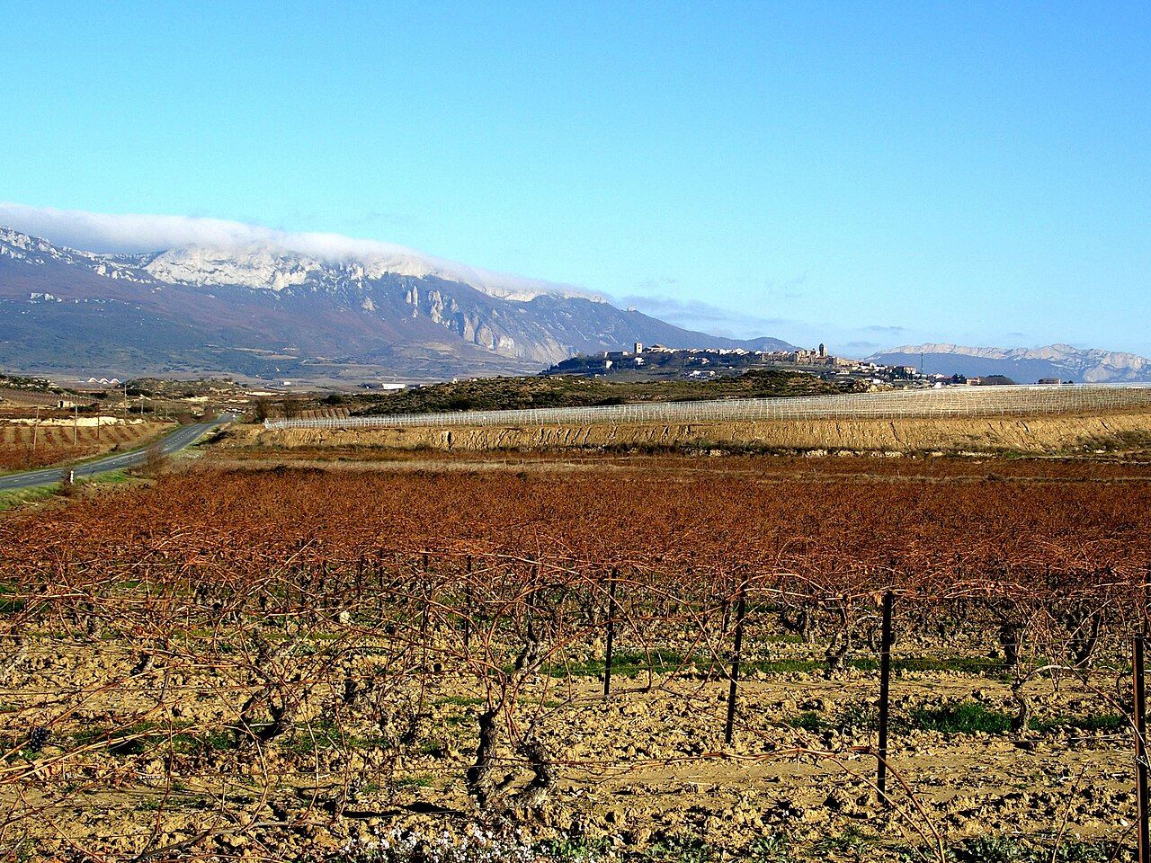 Vignes, Rioja