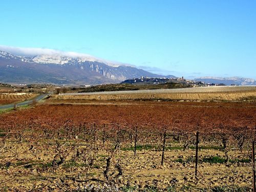 Vignes, Rioja