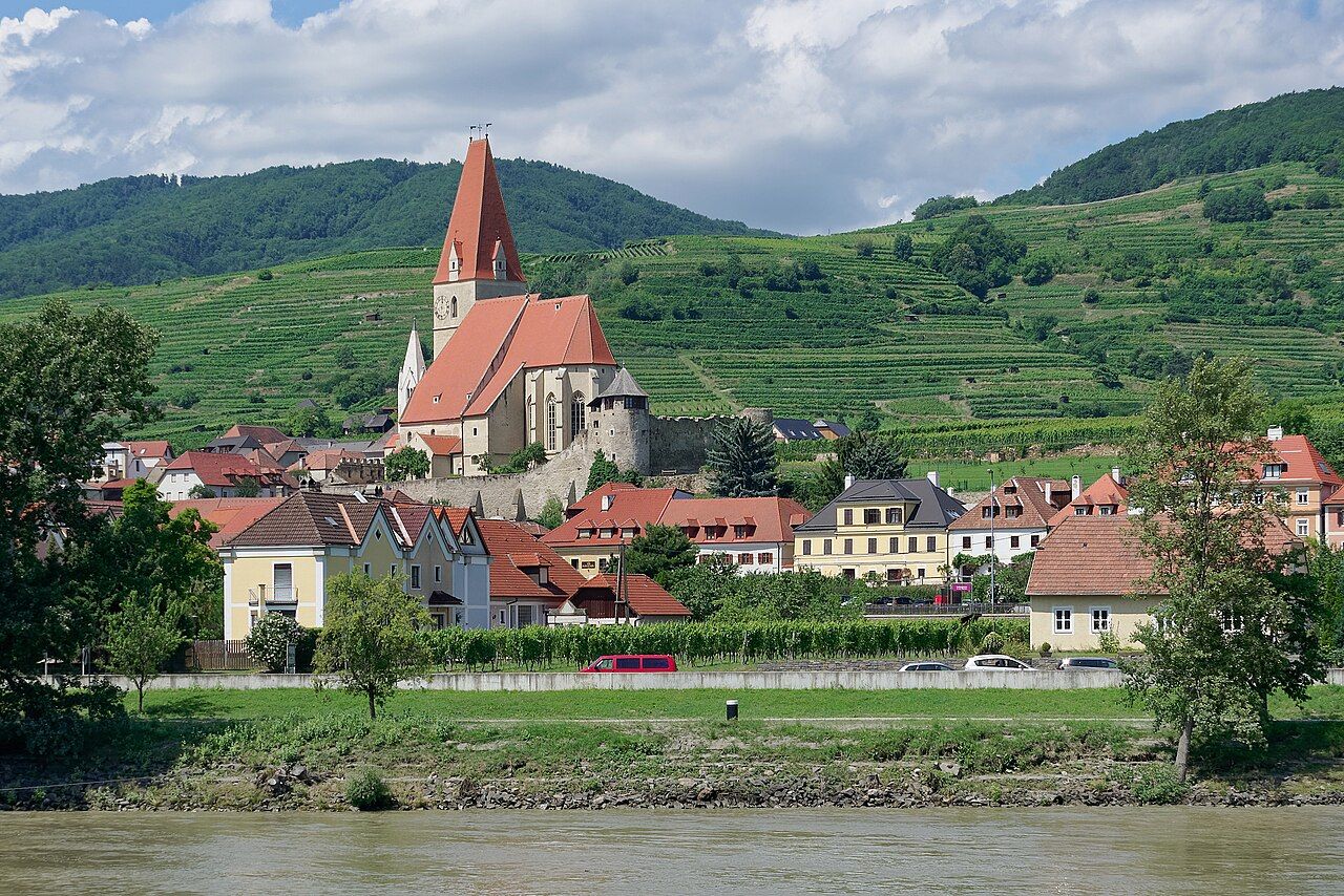 Vignes, Wachau